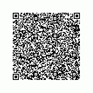 vCard 79819958738