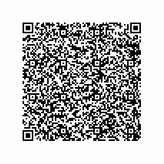 vCard 79819959738