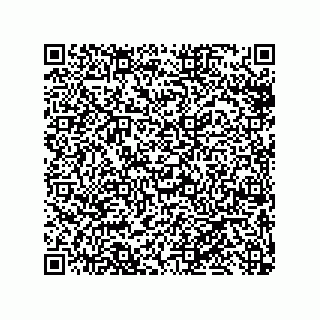 vCard 79819960013