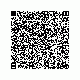 vCard 79819960131