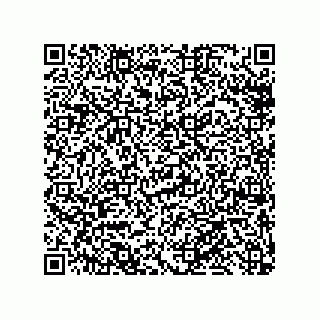 vCard 79819960133
