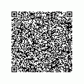 vCard 79819960202