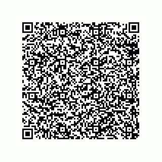 vCard 79819960207