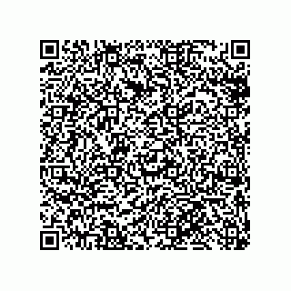 vCard 79819960211