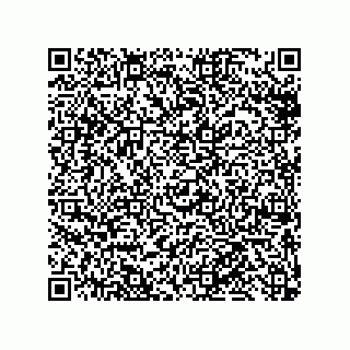 vCard 79819960213