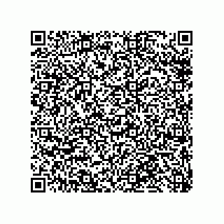 vCard 79819960288