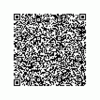 vCard 79819960307