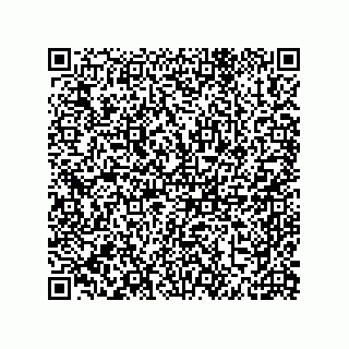vCard 79819960313
