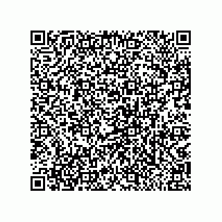 vCard 79819960315