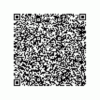 vCard 79819960321