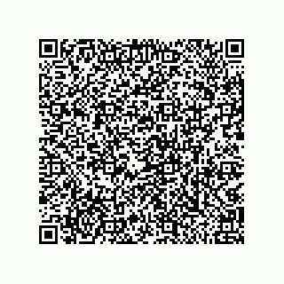 vCard 79819960378