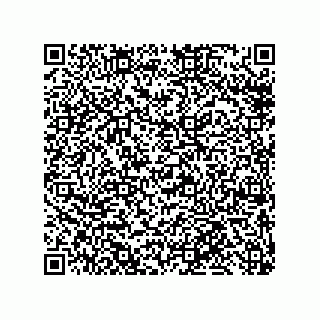 vCard 79819960381