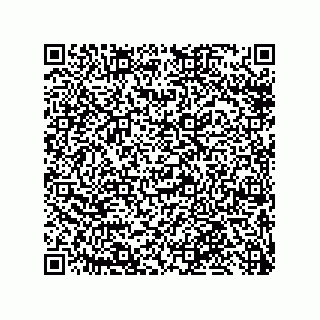vCard 79819960384