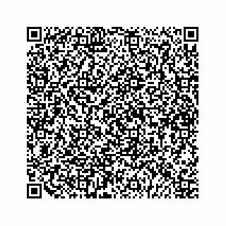 vCard 79825017381