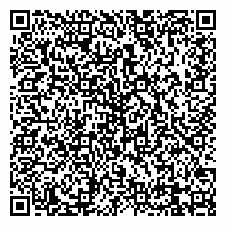 vCard 79830700413