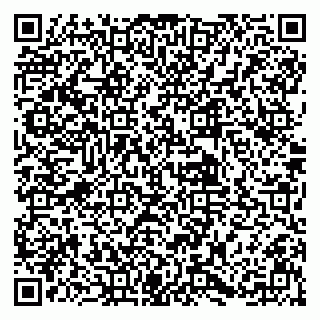 vCard 79831968381