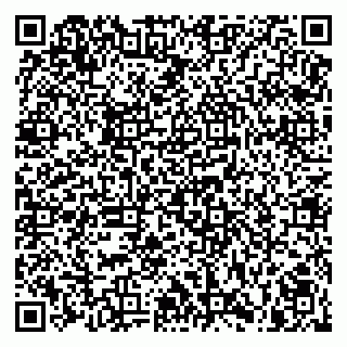 vCard 79832000001