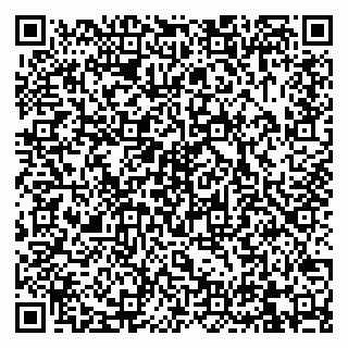 vCard 79832000011