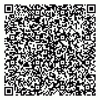 vCard 79832000013
