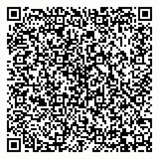 vCard 79832000017