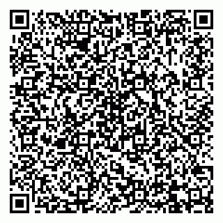 vCard 79832000021
