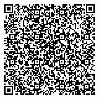 vCard 79832000027