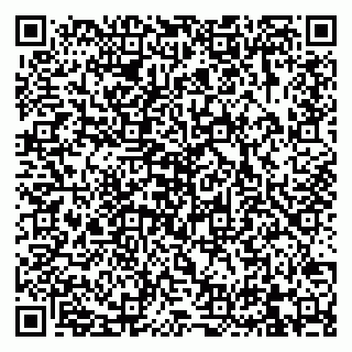 vCard 79832000028