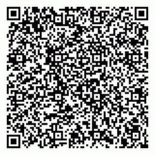 vCard 79832000063
