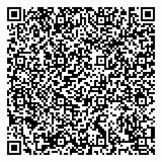 vCard 79832000081