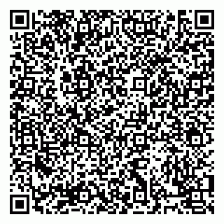 vCard 79832000104