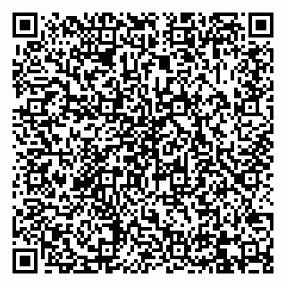 vCard 79832000105
