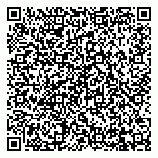 vCard 79832000106
