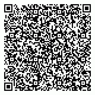 vCard 79832000118