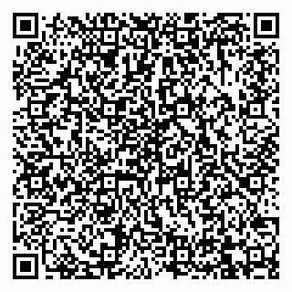 vCard 79832000129