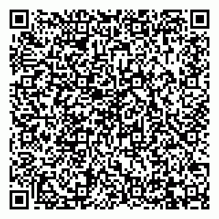 vCard 79832000132