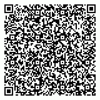 vCard 79832000137