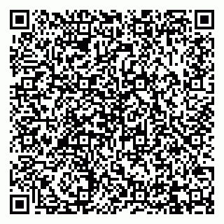 vCard 79832000153