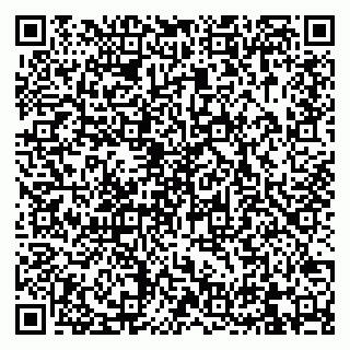 vCard 79832000160