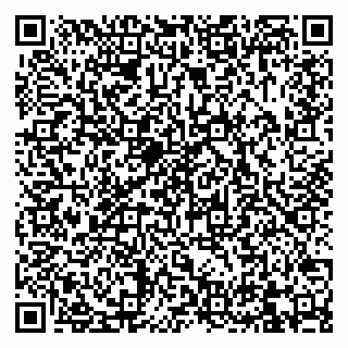 vCard 79832000161