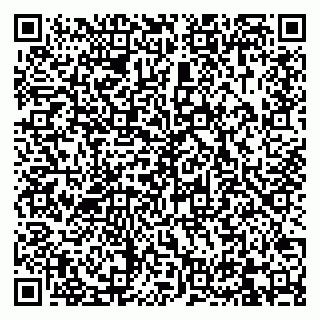vCard 79832000162