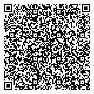vCard 79832000163