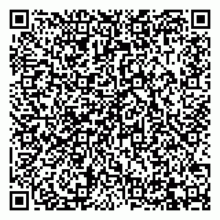vCard 79832000176