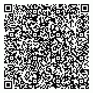vCard 79832000181