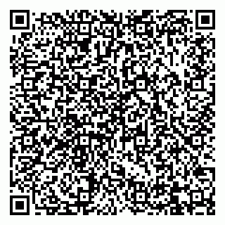 vCard 79832000193