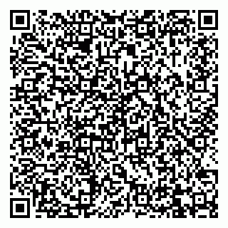 vCard 79832000194