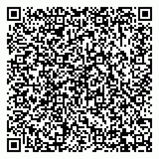 vCard 79832000199