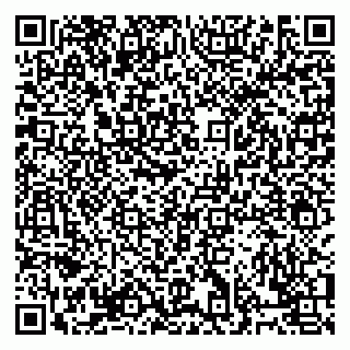 vCard 79832000209