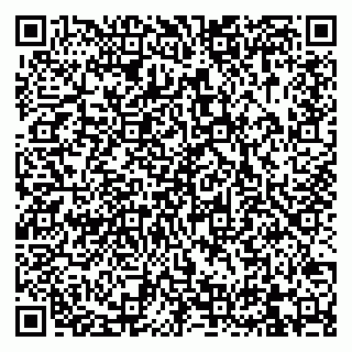 vCard 79832000210