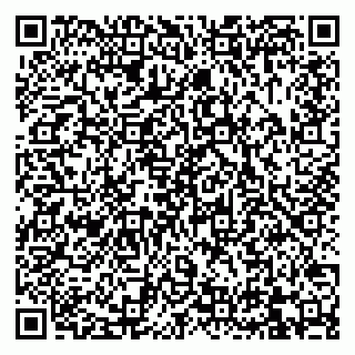 vCard 79832000211