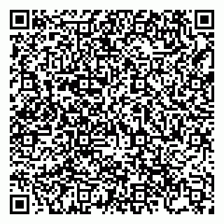 vCard 79832000221